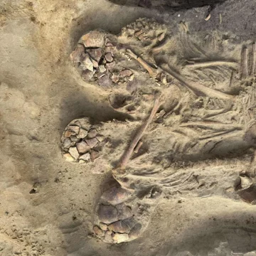 Nowe fakty o odkryciu z Orłowa. ,,W Polsce nie mieliśmy jeszcze takiego znaleziska”