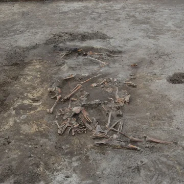 Wołyń – w czym Polacy i Ukraińcy się nie zgadzają? Dlaczego jest to taka trudna sprawa?