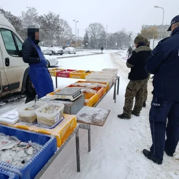 145-422681 Sprzedaż ryb pod okiem służb