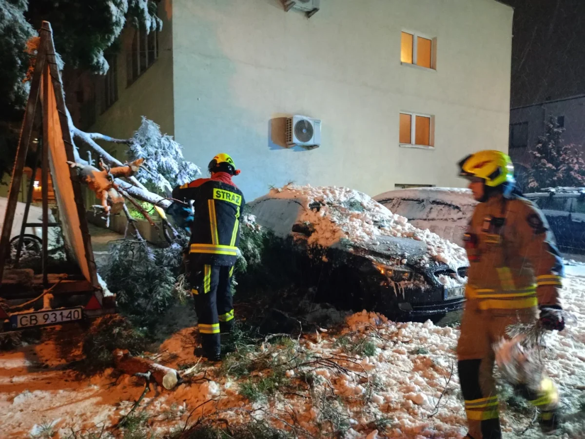 Strażacy mają ochotę do działania, ale system ich nie potrzebuje 589112412_1261480249344230_6255198939291866897_n