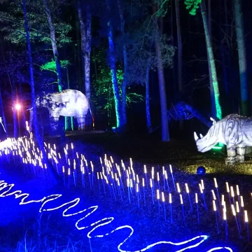 DSC02808 Ostatnie dni Lumina Parku ze specjalną promocją. Królestwo zwierząt za kilka dni nas opuści