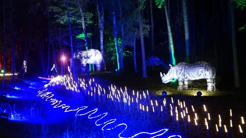 Ostatnie dni Lumina Parku ze specjalną promocją. Królestwo zwierząt za kilka dni nas opuści