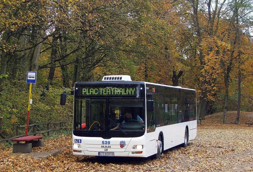 MAN_Lion's_City_-_MZK_Toruń_nr_539 MAN-y mogą wrócić na bydgoskie ulice