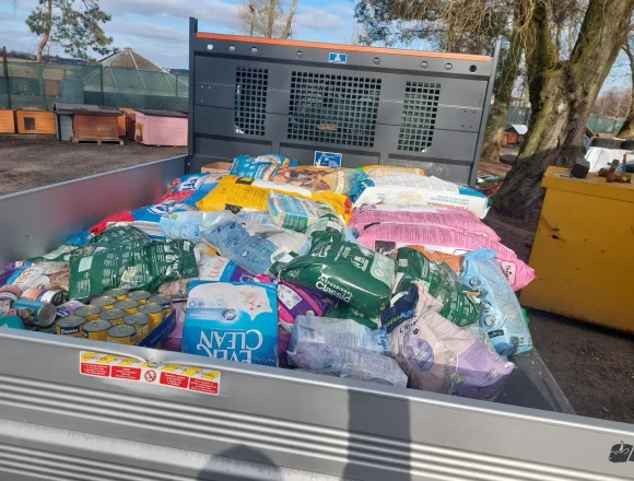 Dar, który odmienił los psów i kotów z inowrocławskiego schroniska