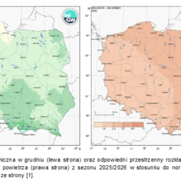 anomalia Początek roku był może i zimny, ale też suchy. Eksperci są pełni obaw