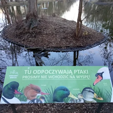 Ludzie wchodzili na wyspę z gniazdami łabędzi. Postawiono tabliczkę