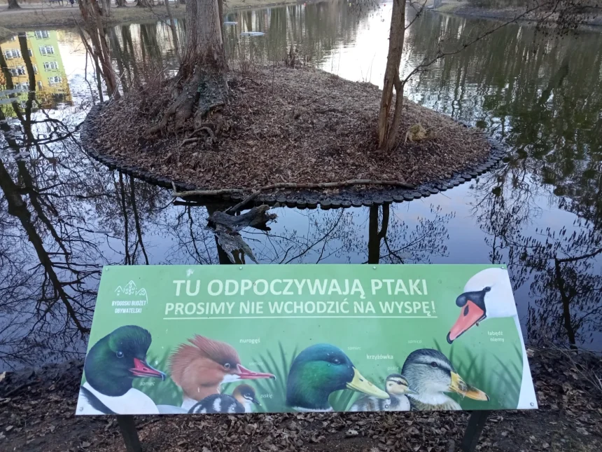 1773657455904 Ludzie wchodzili na wyspę z gniazdami łabędzi. Postawiono tabliczkę