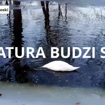 Nad kanałem widzieliśmy połączenie wiosny z zimą