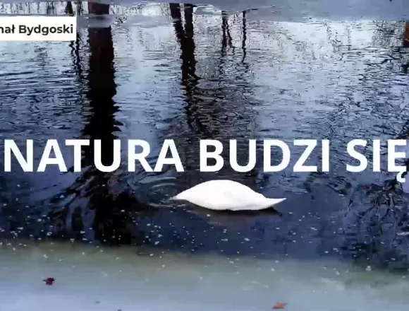 Screenshot 2026-03-02 at 13-26-50 natura budzi sie - YouTube Nad kanałem widzieliśmy połączenie wiosny z zimą
