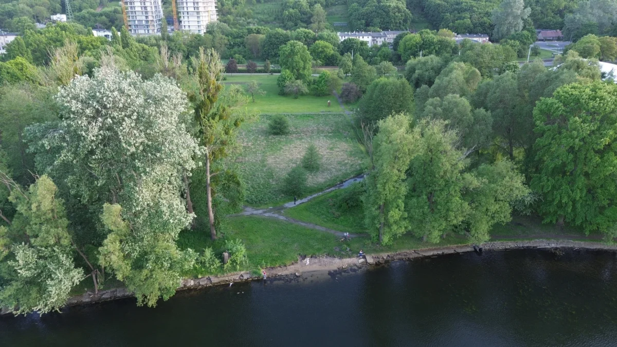 Od razu wielka wycinka w Parku Centralnym nie ruszy DJI_0730