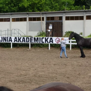 Politechnika Bydgoska przejęła stajnie w Myślęcinku. Ma pomóc w rozwoju weterynarii