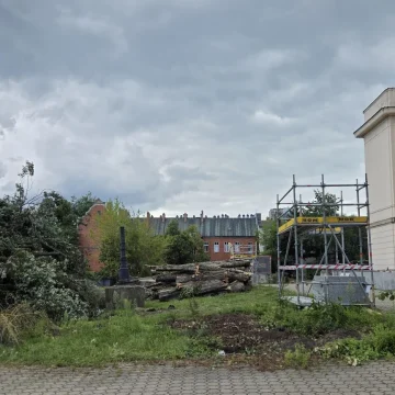 20260811_142555-1536x865 Prace przy Filharmonii ruszają od wycinek drzew. Czy konieczna była wycinka 35 drzew?