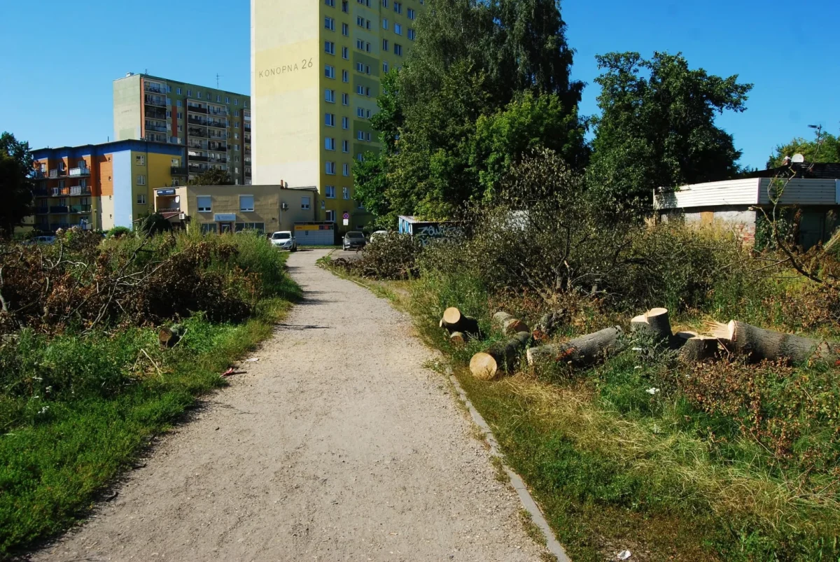 Drzewa pod budowę pętli wycięte. Mogą pojawiać się utrudnienia w ruchu 777515670_28136081069416406_6947894889484685741_n