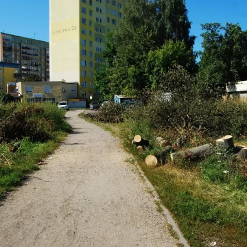 Drzewa pod budowę pętli wycięte. Mogą pojawiać się utrudnienia w ruchu