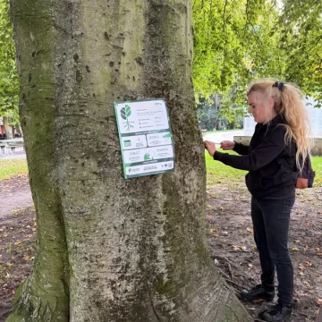 EuTreeTag (1) W Europie trwa dzisiaj TreeTag. Czyli wyróżnianie wyjątkowych drzew. Bydgoszcz musiała dołączyć
