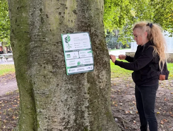 EuTreeTag (1) W Europie trwa dzisiaj TreeTag. Czyli wyróżnianie wyjątkowych drzew. Bydgoszcz musiała dołączyć