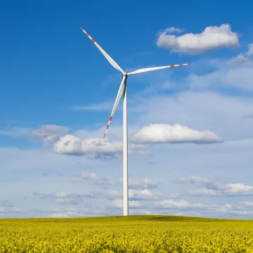 plbryk-rapeseed-4524007 Szwedzi rozpoczynają budowę magazynu energii w Bydgoszczy