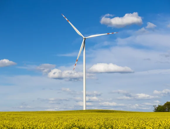 Szwedzi rozpoczynają budowę magazynu energii w Bydgoszczy