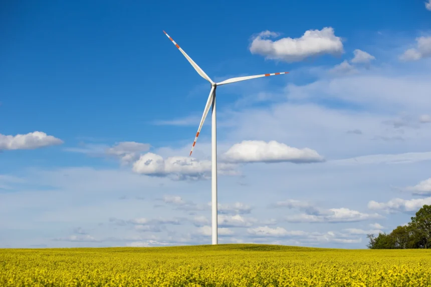 Szwedzi rozpoczynają budowę magazynu energii w Bydgoszczy
